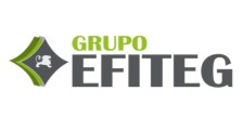 Logo de GRUPO EFITEG