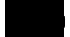 Grupo South & Co logo