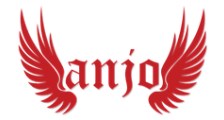 Anjos de Enfermagem logo