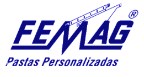 Femag Logo