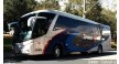 Opiniões da empresa transwolff transporte e turismo ltda Logo