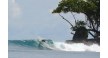Por dentro da empresa Sumatra Surf Logo