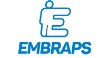 Por dentro da empresa EMBRAPS - SERVICOS Logo