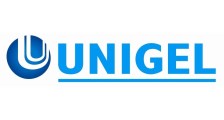 Logo de Grupo Unigel