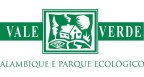 Por dentro da empresa Vale VERDE Logo