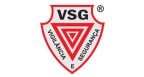 Grupo VSG Logo