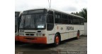 EMPRESA PEDROSA LTDA Logo