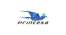 VIAÇÃO PRINCESA logo