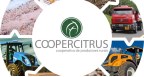 Coopercitrus Logo