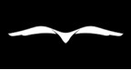 instituto gerando falcoes Logo