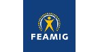 FEAMIG - Faculdade de Engenharia de Minas Gerais Logo
