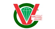 Colégio Vida Ativa logo