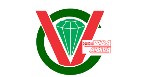 Colégio Vida Ativa Logo