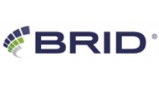 Brid Soluções logo