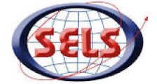 Logo de Sels - Serviço Educacional Lar e Saúde