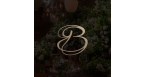 Grupo Bisutti Logo