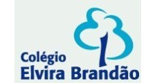 Logo de Colégio Elvira Brandão