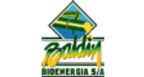 Baldin Bioenergia SA Logo
