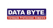 Data Byte