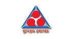 Grupo Perlex Logo
