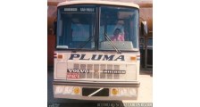 Logo de Pluma Conforto e Turismo Ltda.