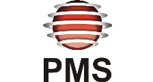 PMS Consultoria logo