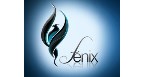 Por dentro da empresa FENIX Logo