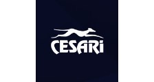 Cesari Multimodal