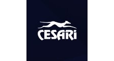 Logo de Cesari Multimodal