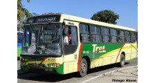 Transturismo Rei Ltda -TREL- logo