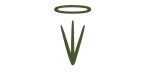 Grupo Capim Santo Logo