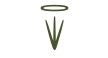 Por dentro da empresa Capim Santo Logo