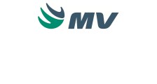 Opiniões da empresa MV Sistemas