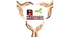 Precisão Serviços Logo
