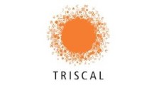 Triscal logo