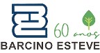 CONSTRUTORA BARCINO ESTEVE Logo