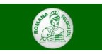 Romana Vigilância Ltda. Logo
