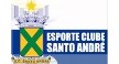 Opiniões da empresa Esporte Clube Santo André Logo