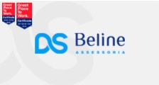 Logo de DS Beline assessoria
