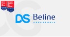 Por dentro da empresa DS BELINE ASSESSORIA Logo