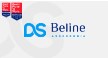 Por dentro da empresa DS BELINE ASSESSORIA Logo