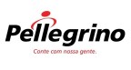 Por dentro da empresa Pellegrino Distribuidora de autopeças Logo