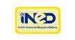 Por dentro da empresa Ined Logo
